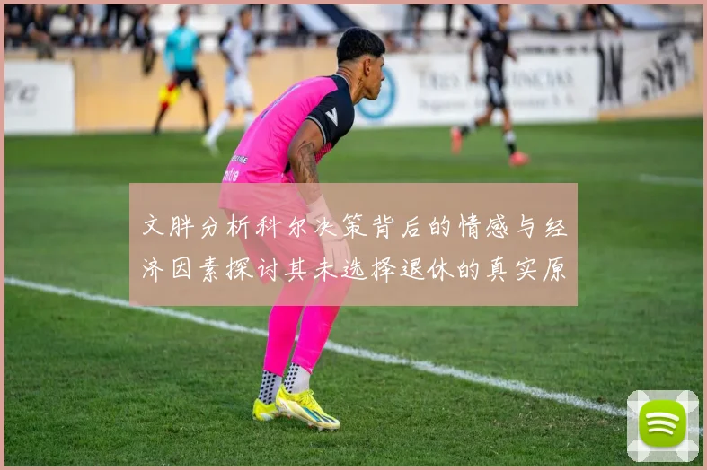 文胖分析科尔决策背后的情感与经济因素探讨其未选择退休的真实原因
