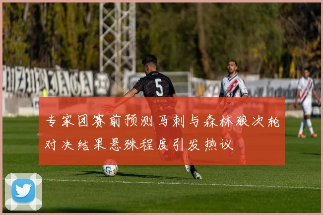 专家团赛前预测马刺与森林狼次轮对决结果悬殊程度引发热议